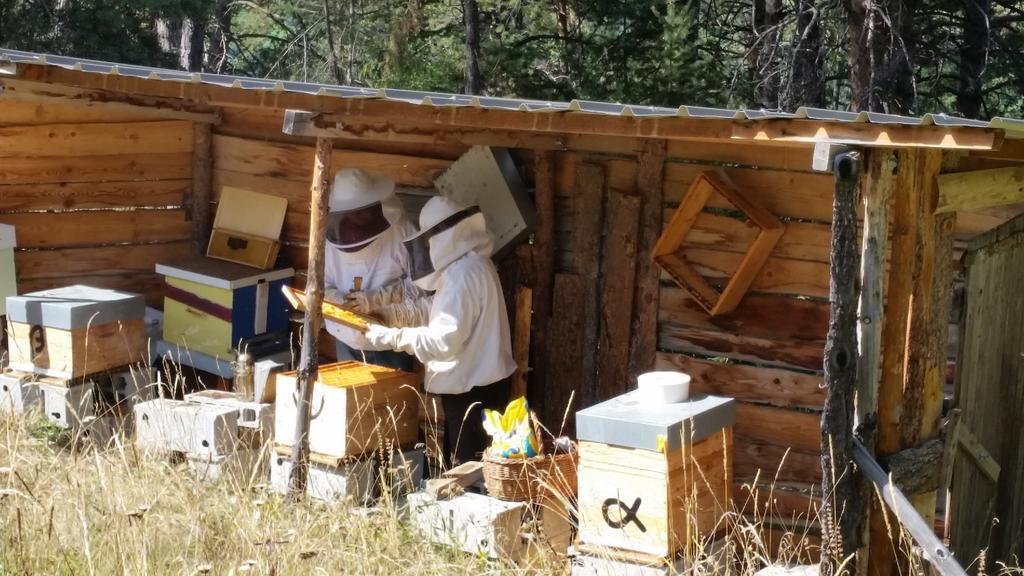 Studio Barcelonnette Ubaye, Provence Enchastrayes Zewnętrze zdjęcie